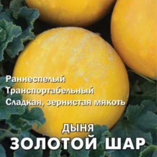img-1: Дыня Золотой шар - ООО «Семена Тут»