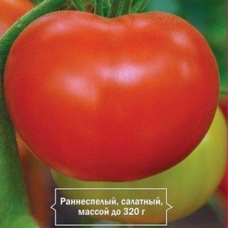 img-1: Томат Коралловый риф F1 (инкруст. семена) - ООО «Семена Тут»