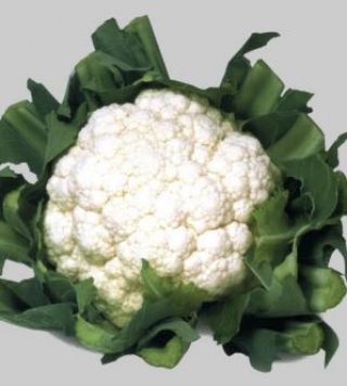 img-0: Капуста цветная Уайтэксел F1 - ООО «Семена Тут»