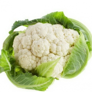 Капуста цветная Целеритас F1 - ООО «Семена Тут»
