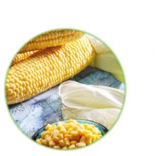 img-1: Кукуруза Карамело F1 - ООО «Семена Тут»