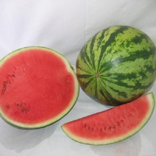 Арбуз Виктория F1 - ООО «Семена Тут»