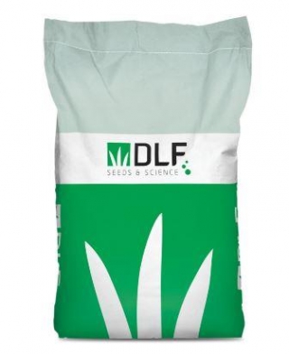 Газонная трава Смесь "Плейграунд" - ООО «Семена Тут»