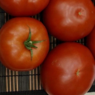 img-0: Томат Фрида F1 - ООО «Семена Тут»