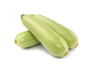 img-1: Кабачок Азов F1 - ООО «Семена Тут»