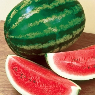 Арбуз Варда F1 - ООО «Семена Тут»