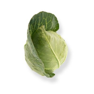 Капуста белокочанная Сонсма F1 - ООО «Семена Тут»