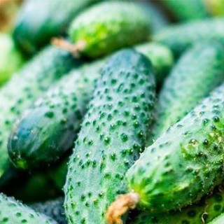 img-0: Огурец Зеленый поток F1 - ООО «Семена Тут»