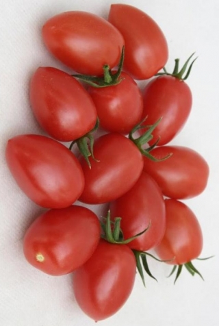 img-1: Томат Брамос F1 - ООО «Семена Тут»