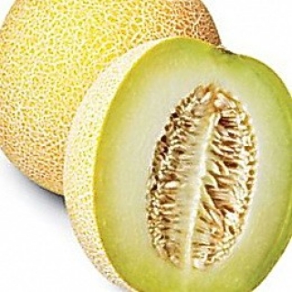 Дыня Царская (инкруст.семена) - ООО «Семена Тут»