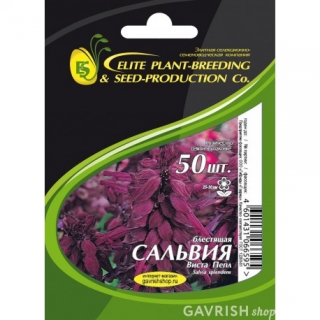img-1: Сальвия Виста Пепл [1000 шт] - ООО «Семена Тут»