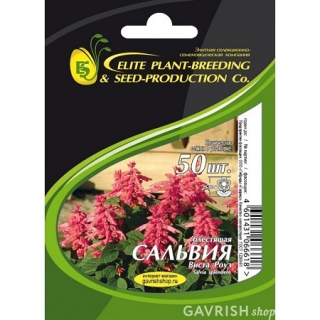 img-1: Сальвия Виста Роуз [50 шт] - ООО «Семена Тут»