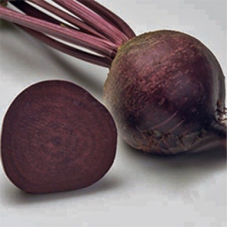 Свекла Акела (фракция 3,50-4.25 мм) - ООО «Семена Тут»