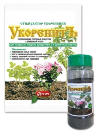 img-0: УКОРЕНИТЪ стимулятор укоренения черенков и саженцев 50 гр/банка - ООО «Семена Тут»