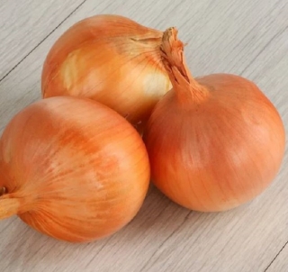 Лук репчатый Форвард (инкруст. семена) - ООО «Семена Тут»