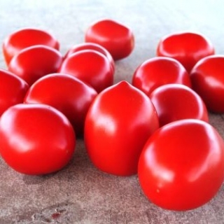 Томат Ред Скай F1 - ООО «Семена Тут»