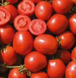 Томат Вулкан F1 - ООО «Семена Тут»