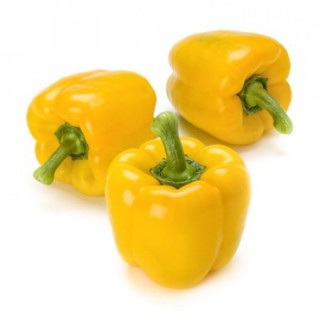 Перец Иланга F1 - ООО «Семена Тут»