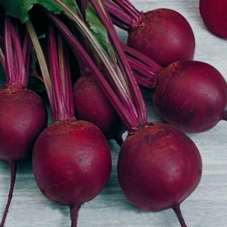 Свекла Кардиал F1 [фракция 3,2-3,6 мм] - ООО «Семена Тут»