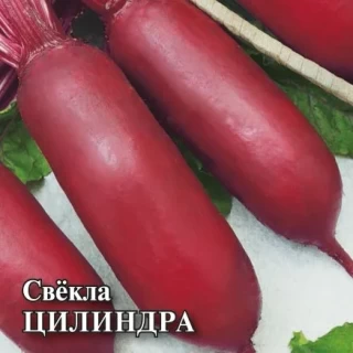 img-1: Свекла Цилиндра - ООО «Семена Тут»
