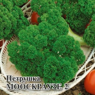img-1: Петрушка Мооскраузе 2 - ООО «Семена Тут»
