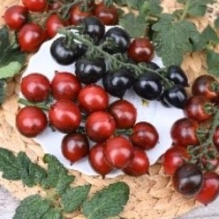 img-0: Томат Черри F1 фиолетово-красно-коричневый - ООО «Семена Тут»