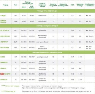 img-1: Лук репчатый Барито F1 - ООО «Семена Тут»