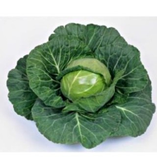 Капуста белокочанная Нозоми F1 - ООО «Семена Тут»