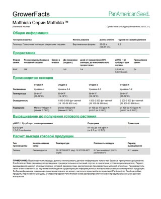 img-1: Маттиола Матильда Вайт [1000 шт] - ООО «Семена Тут»