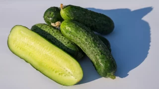 img-1: Огурец Проликс F1 - ООО «Семена Тут»