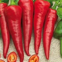 Перец острый Красный Толстяк - ООО «Семена Тут»