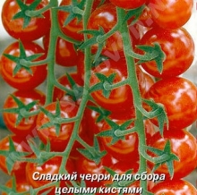 img-1: Томат Эльф F1 (инкруст. семена) - ООО «Семена Тут»