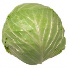 Капуста белокочанная Хипо F1 - ООО «Семена Тут»