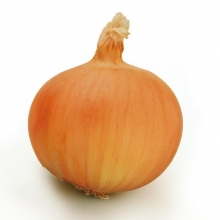 Лук репчатый Зои F1 - ООО «Семена Тут»