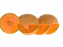 Дыня Страйк F1 - ООО «Семена Тут»