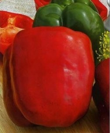 Перец Стенли F1 - ООО «Семена Тут»