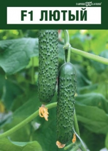 img-1: Огурец Лютый F1 - ООО «Семена Тут»