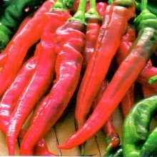 Перец Красный Рог - ООО «Семена Тут»