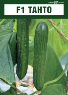 img-1: Огурец Танто F1 - ООО «Семена Тут»