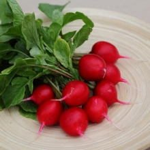 Редис Рембо - ООО «Семена Тут»