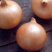 Лук репчатый Кэнди F1 - ООО «Семена Тут»