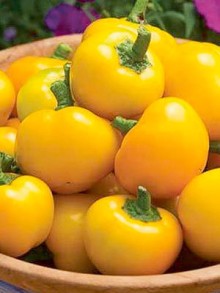 img-1: Перец Янтарный - ООО «Семена Тут»