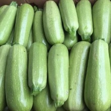 Кабачок Арал F1 - ООО «Семена Тут»