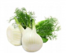 img-2: Фенхель Феномен - ООО «Семена Тут»