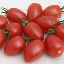 Томат Брамос F1 - ООО «Семена Тут»