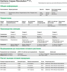 img-1: Гербера Революшн Еллоу Лайт Ай [100 шт] - ООО «Семена Тут»