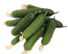 img-2: Огурец Хасбулат F1 - ООО «Семена Тут»