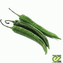 Перец острый Хайфи F1 - ООО «Семена Тут»