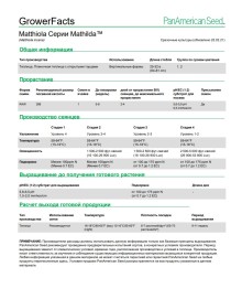 img-1: Маттиола Матильда Вайт [1000 шт] - ООО «Семена Тут»