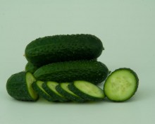 img-1: Огурец Стартап F1 - ООО «Семена Тут»